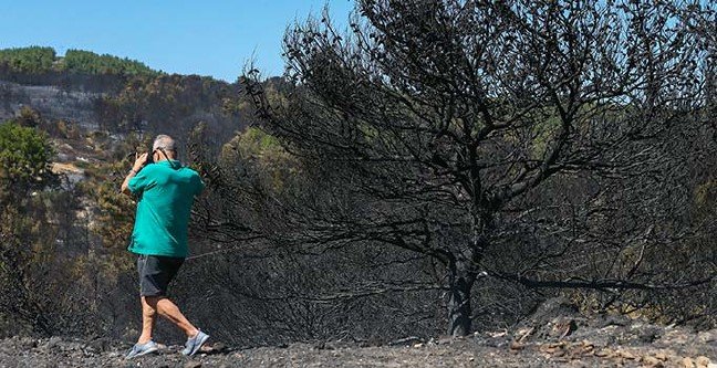 19-08/24/basliksiz-1-1566631201