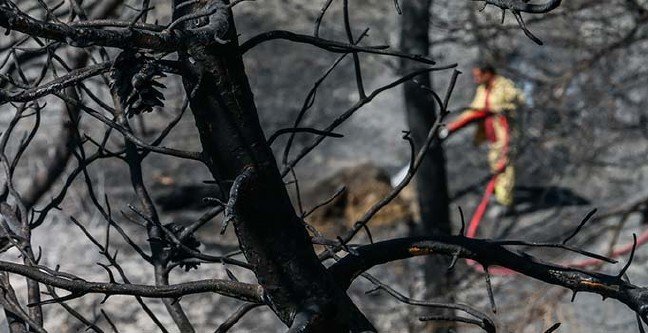 19-08/24/basliksiz-1-1566631220