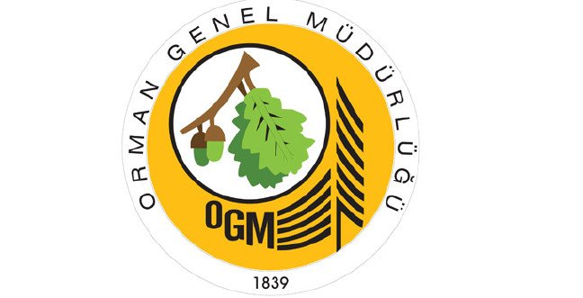 19-09/01/orman-mdurlugujpgg