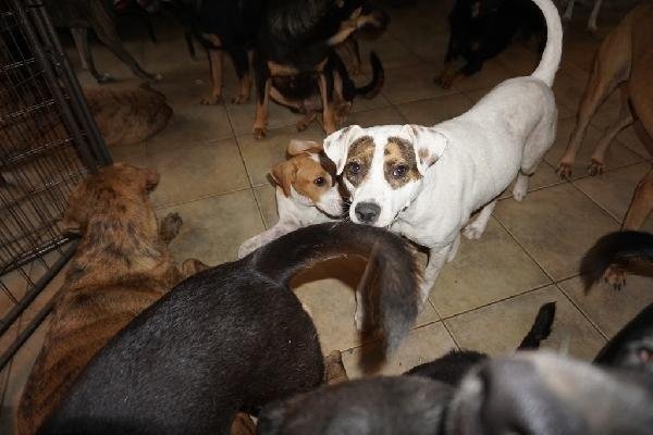 19-09/03/3ffeeb0d3d5abba00b1891d6652d7438-1567519355