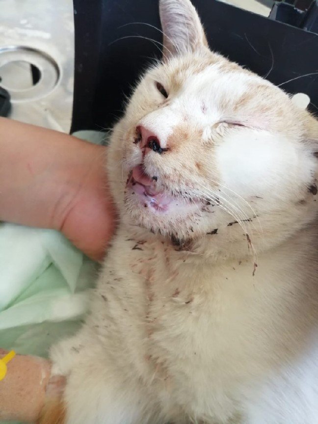 19-09/04/123f528a45a2e4da12ba8e48bcc54ecd-1567583680