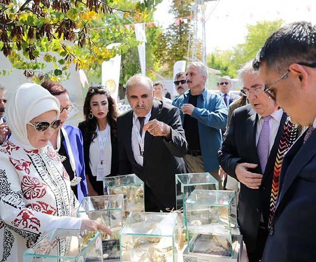 19-09/04/20190904_2_38041758_47283786