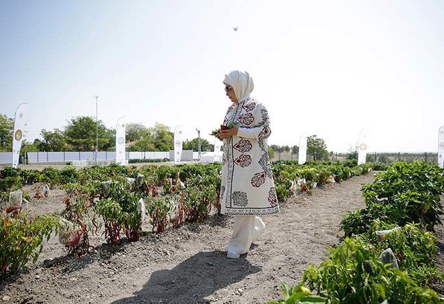 19-09/04/20190904_2_38041758_47283789