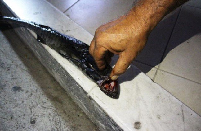 19-09/05/screenshot_1