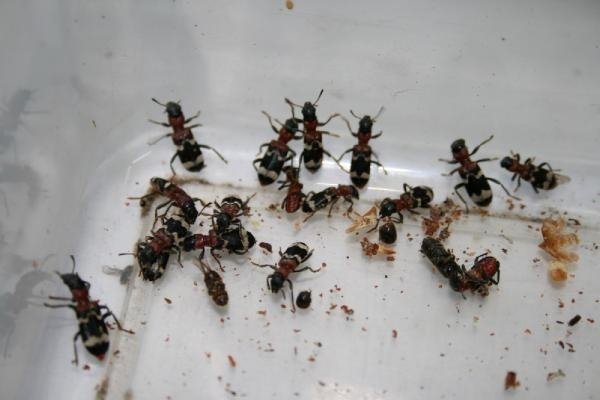 19-09/07/c2cfd0cb80dd0a5716ae1a8ed95e28ce-1567843406