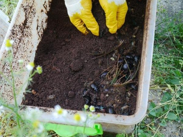 19-09/07/d367e609e82541901fb9f7a1f1e922a1-1567843428