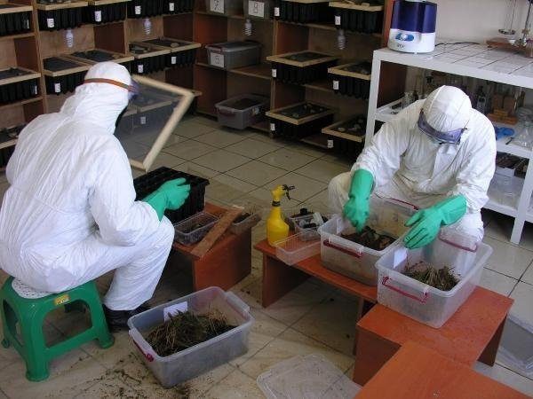 19-09/07/d4de9b37310108fd9ecf43a1139ccd65-1567843416