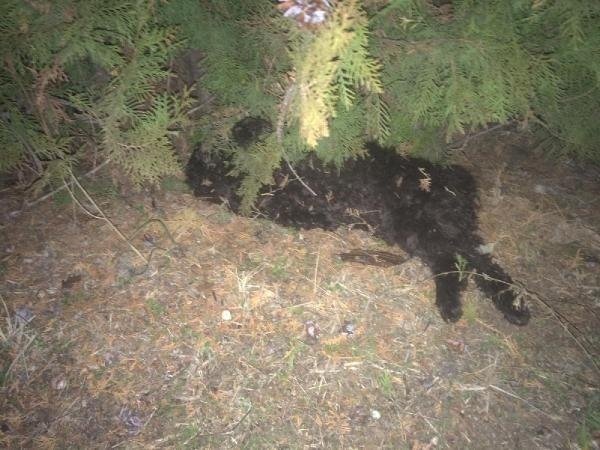 19-09/11/9a5c8794e2f00850187f3f3354810a21-1568204343