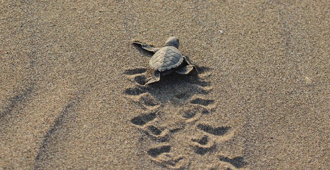 19-09/15/1-1568534772