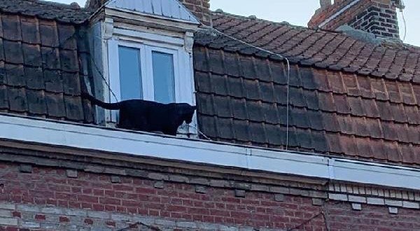 19-09/19/1eb34f2dda95f9ba267a4613e900f034-1568914648