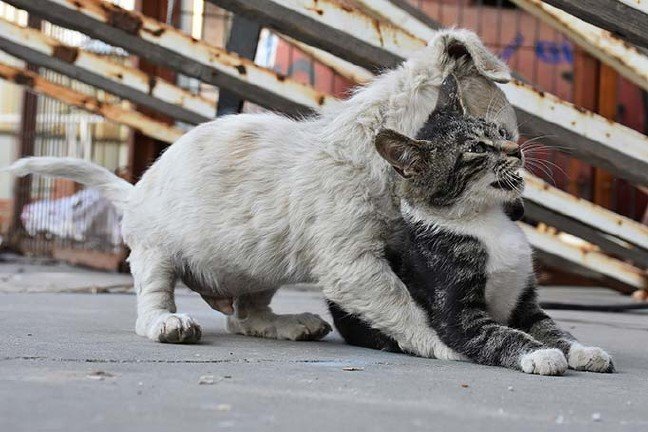 19-09/28/20190928_2_38449033_47977075