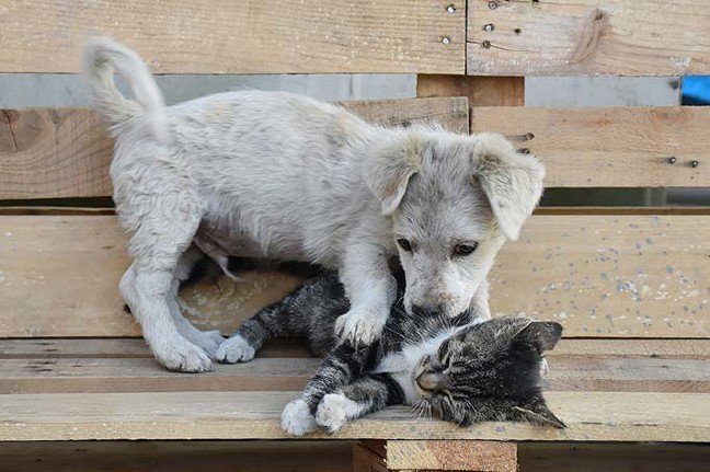 19-09/28/20190928_2_38449033_47977078