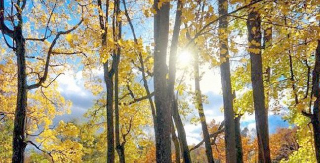 19-09/30/pastirma-sicaklarijpgg