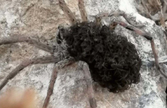 19-10/02/aw817260_02