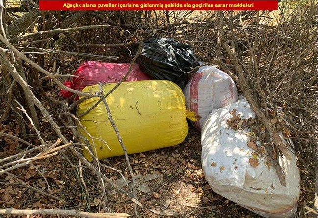 19-10/05/20191005_2_38580879_48210156