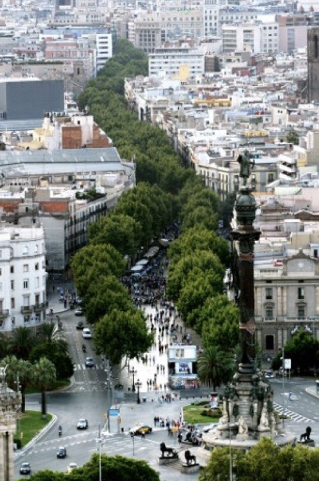 19-10/05/20191005_2_38581805_48212746