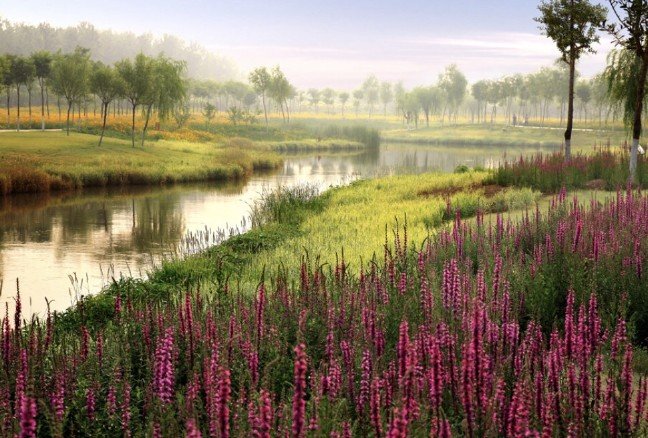 19-10/05/20191005_2_38581805_48212748