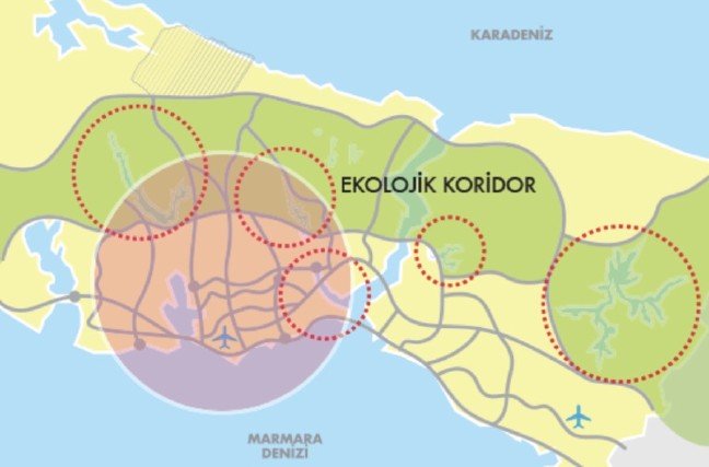 19-10/05/20191005_2_38581805_48212751