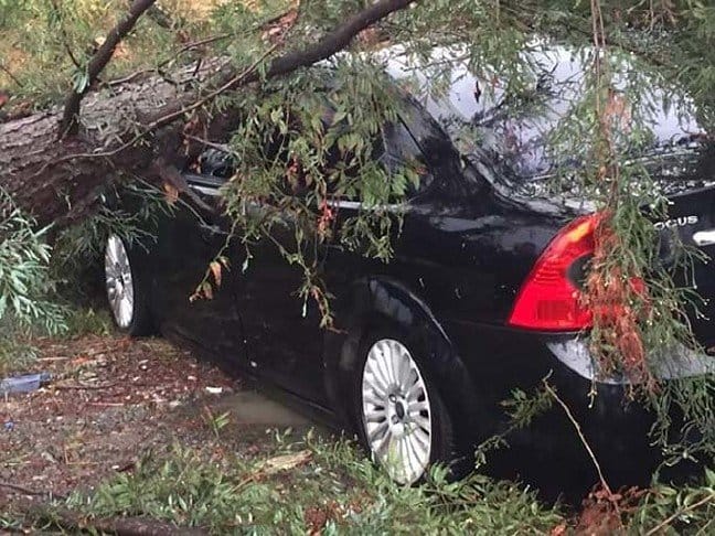 19-10/07/yildirim-dusen-agac-otomobilin-uzerine-devrildi_8338_dhaphoto6