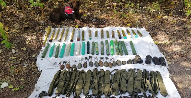 19-10/08/c-1570525976