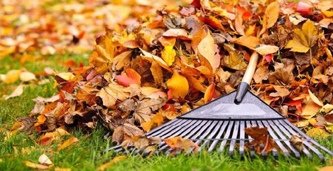 19-10/10/pastirma-sicaklari-sonbahar