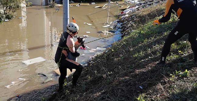 19-10/13/basliksiz-1-1570942093