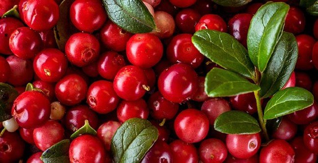 19-10/23/ana-manset-2-1571816205