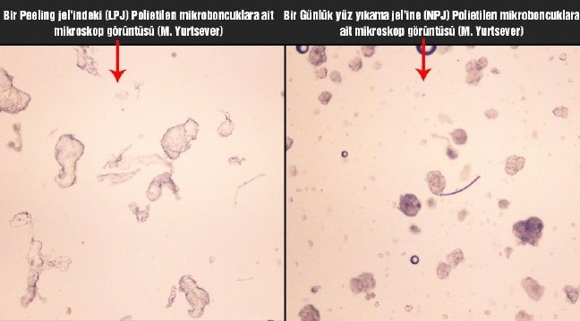 19-10/25/mikroplastik-3