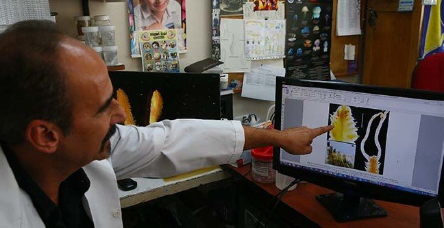 19-10/26/ana-manset-2-1572077260