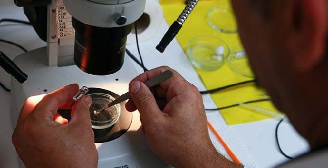 19-10/26/ana-manset-2-1572077326