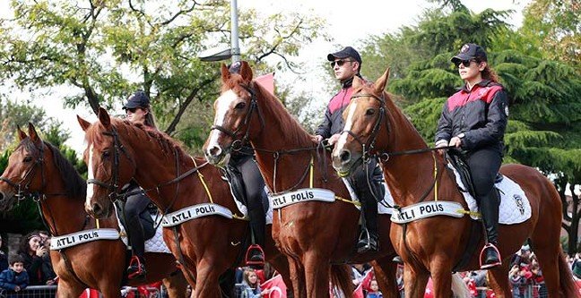 19-10/29/ana-manset-2-1572345361