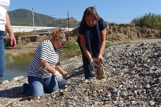 19-11/04/5dbfea432269a2053c5c4837