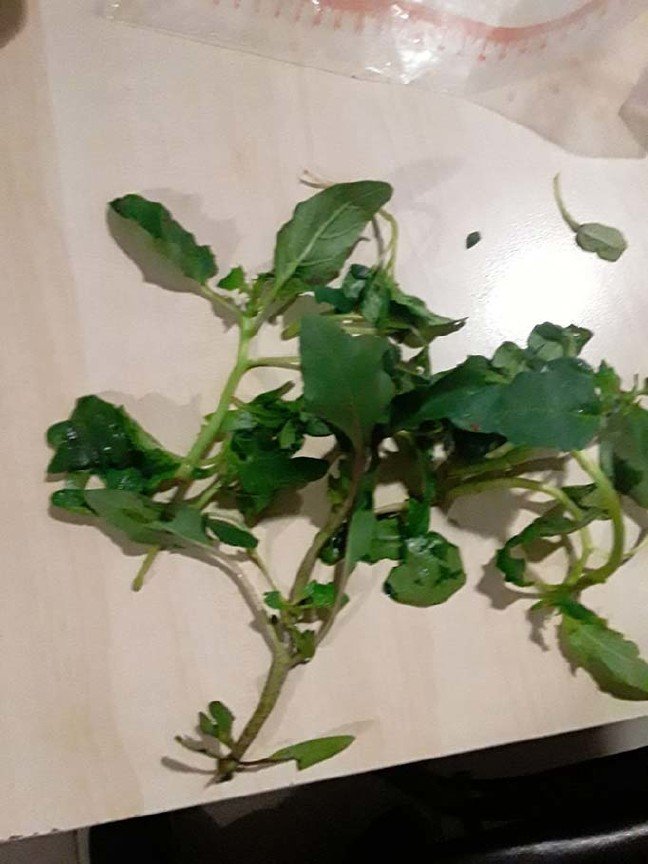 19-11/04/aw845895_02