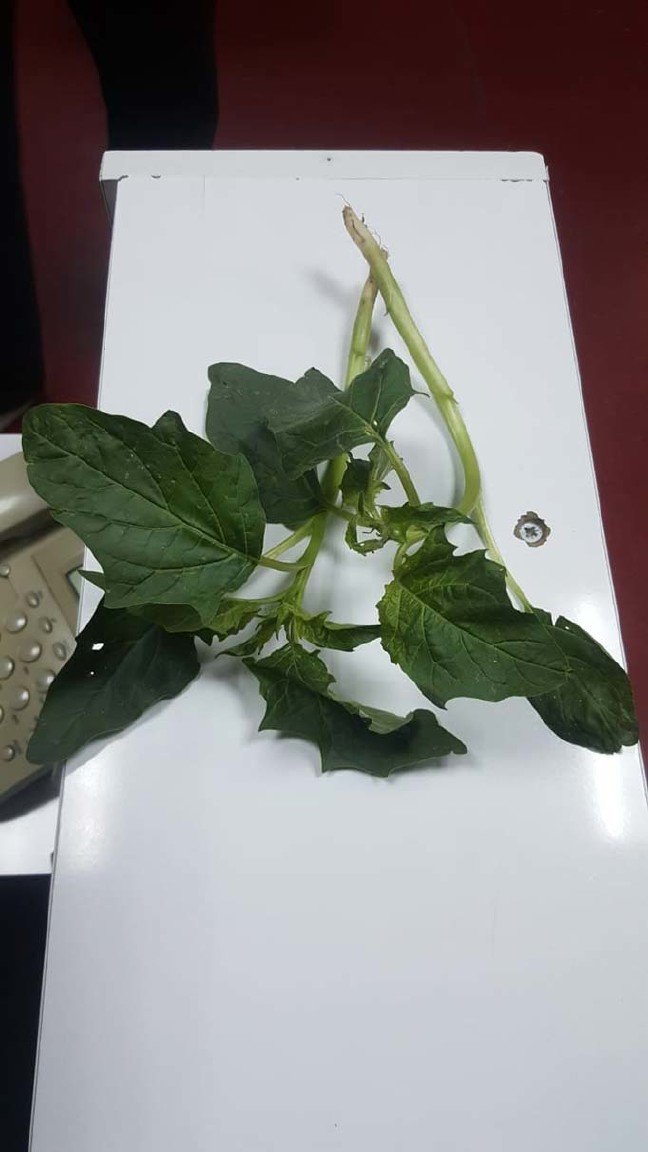 19-11/04/aw845895_03