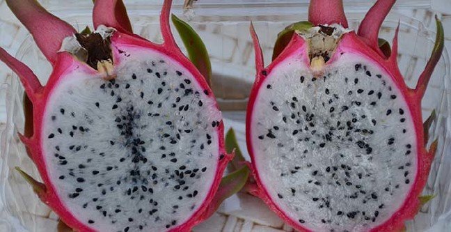 19-11/05/ana-manset-2-1572959800