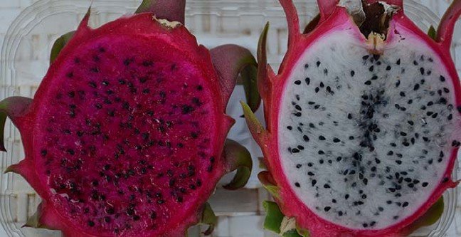 19-11/05/ana-manset-2-1572959813