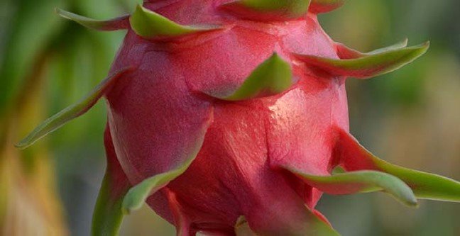 19-11/05/ana-manset-2-1572959830