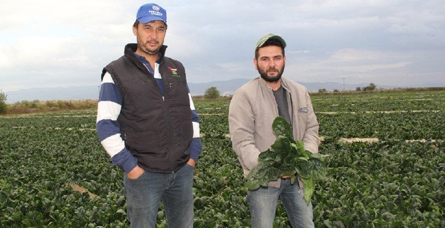 19-11/05/c-1572946119