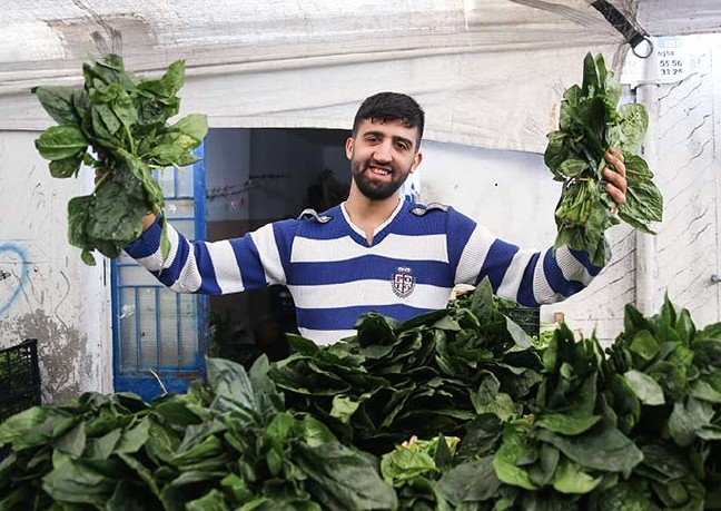 19-11/06/20191106_2_39175872_49194142