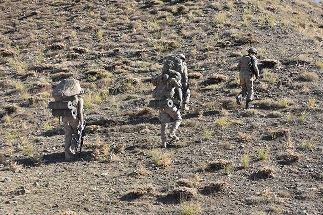 19-11/08/20191108_2_39208419_49248591