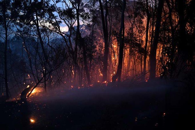 19-11/08/aw850276_01