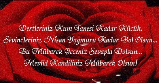 19-11/08/mevlid-kandili-1-1573200779