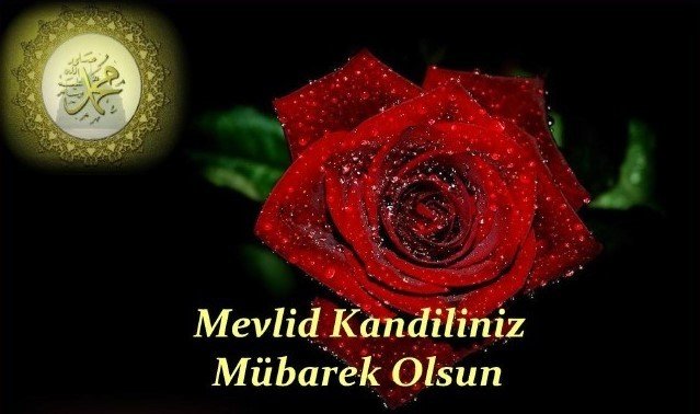 19-11/08/mevlid-kandili-11