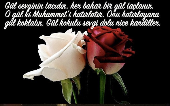 19-11/08/mevlid-kandili-18