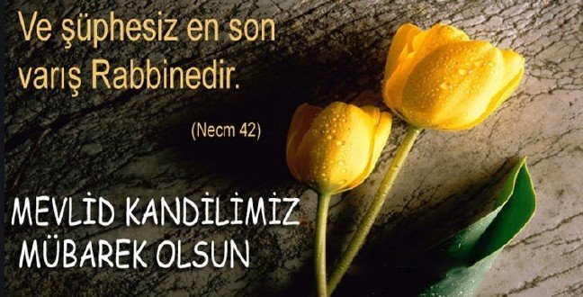 19-11/08/mevlid-kandili-4-1573200753