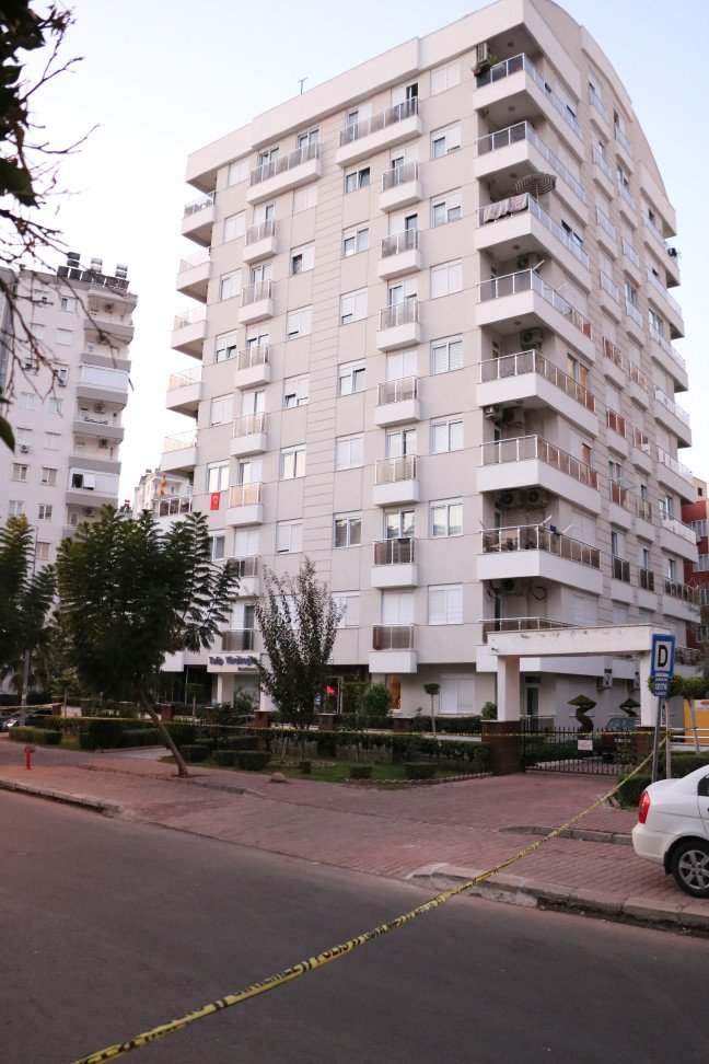 19-11/09/c212f247e894a4caa6a9a0110d2a8f38-1573279362