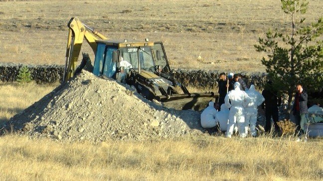 19-11/10/334e3e5ecf37e9780729e5931bd01fec-1573395425