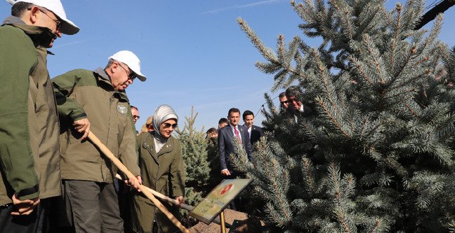 19-11/11/1-1573464116