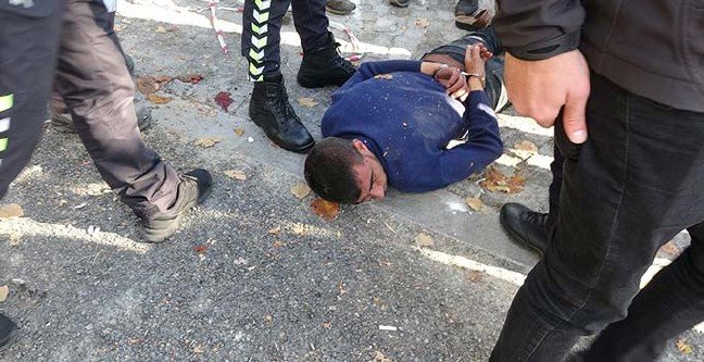 19-11/12/ana-manset-2-1573550014