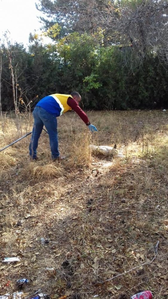 19-11/13/0fc6e350862841dfdde43b38219b37de-1573645711